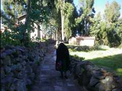 Island Amantani73